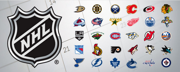 2013 14 NHL Logos Banner