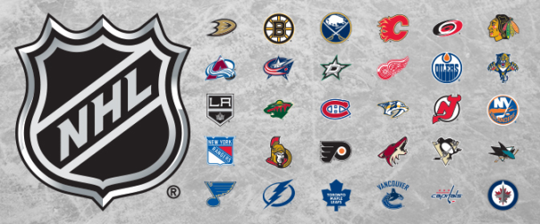 2013-14 NHL Banner
